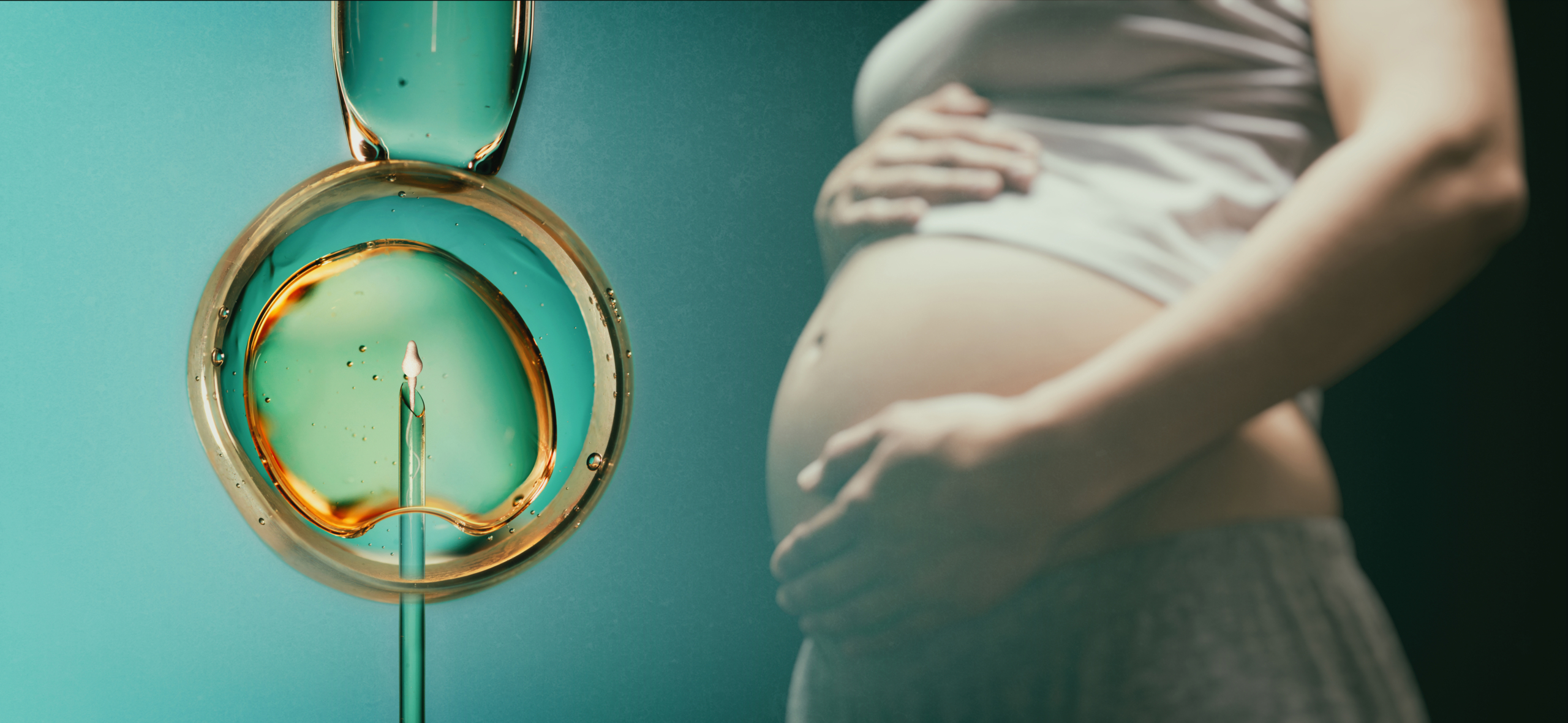 Understanding the Stages of Human IVF Treatment 