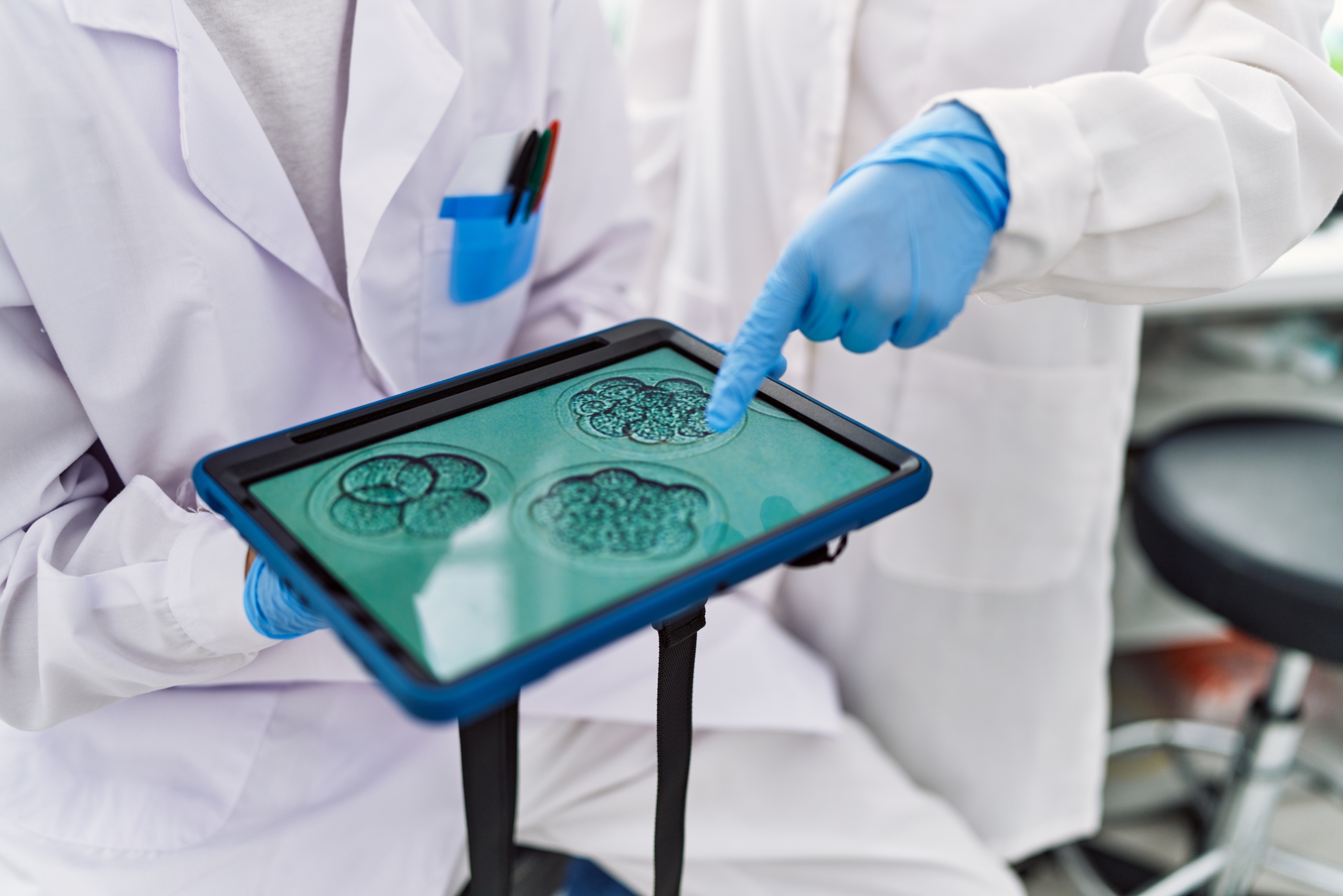 Embryology: Then and Now  
